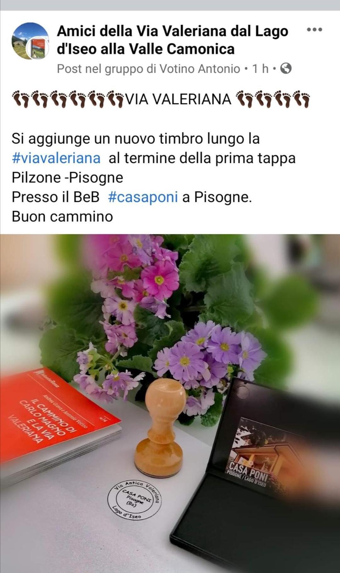 Casa Poni Villa Pisogne Rum bild